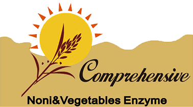 诺丽综合蔬果酵素-logo